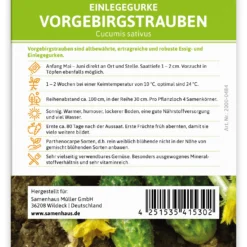 Einlegegurke Vorgebirgstrauben (100 Stück) | Einlegegurkensamen Von FLORTUS 5 Einlegegurke Vorgebirgstrauben (100 Stück) | Einlegegurkensamen Von FLORTUS -Angebote Pflanzen Glanz Store 549867 Einlegegurke Vorgebirgstrauben 100 Stueck 2000 0484 100x 2