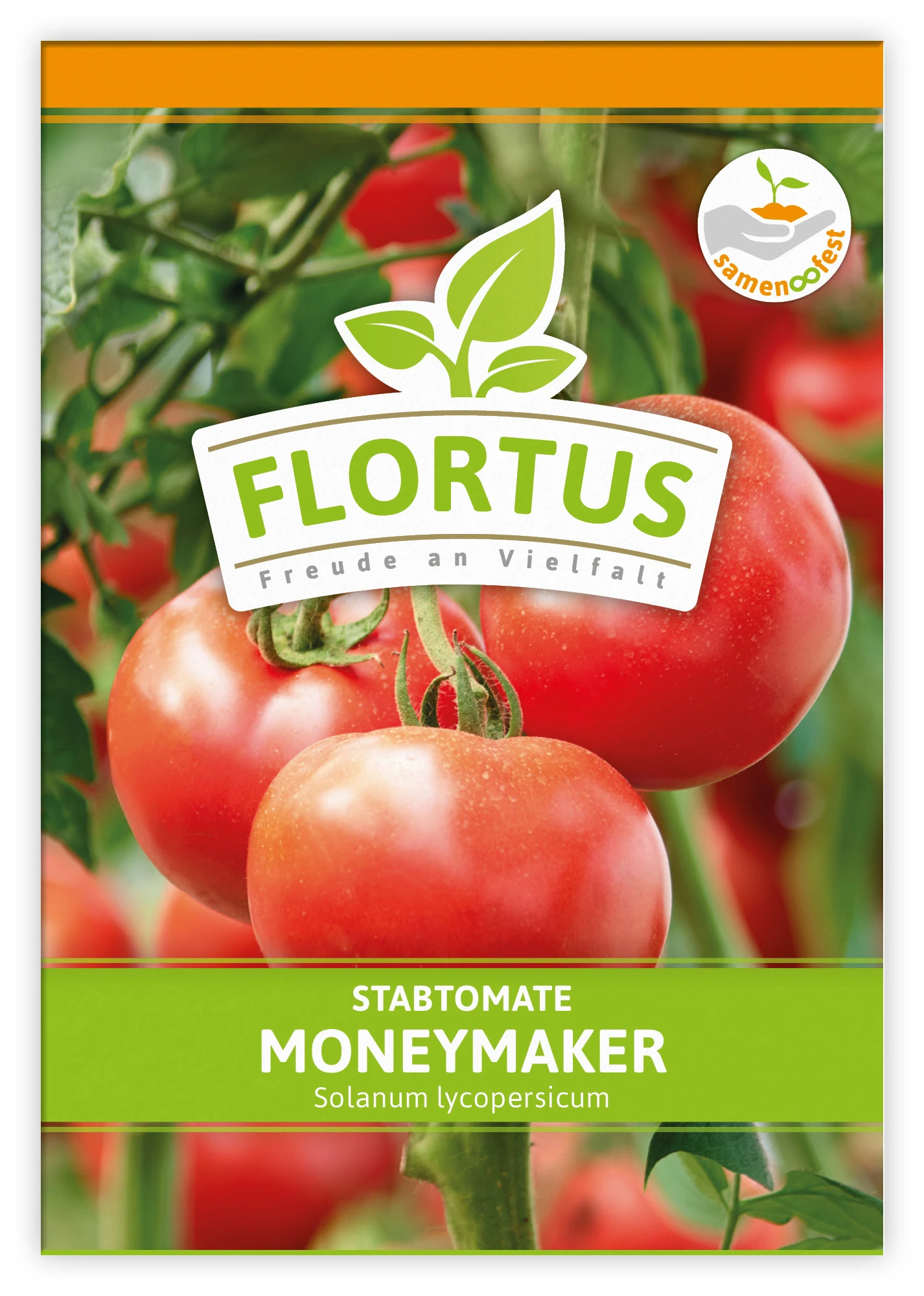 Tomate Moneymaker (100 Stück) | Tomatensamen Von FLORTUS 3 Tomate Moneymaker (100 Stück) | Tomatensamen Von FLORTUS – Bild 3