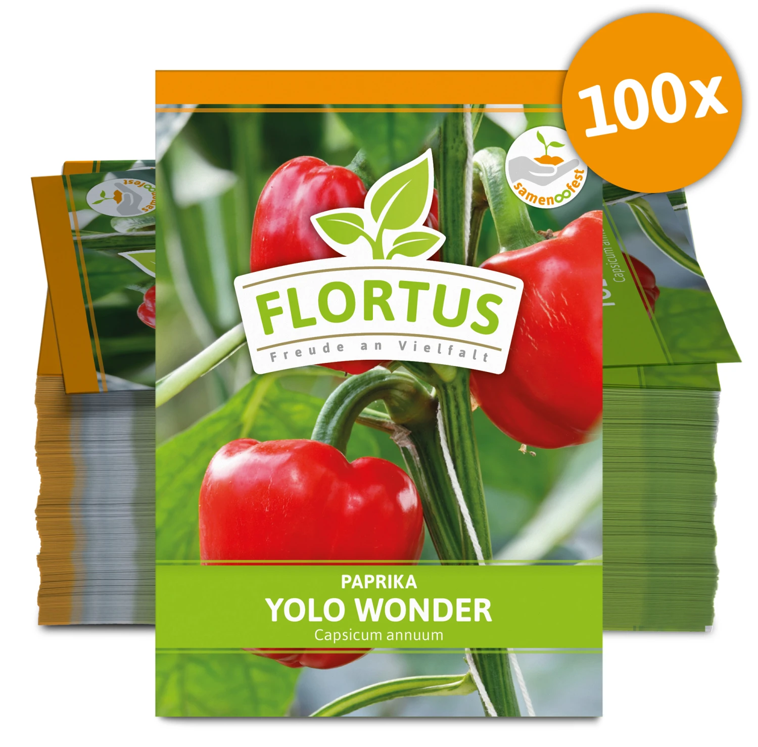Paprika Yolo Wonder (100 Stück) | Paprikasamen Von FLORTUS 2 Paprika Yolo Wonder (100 Stück) | Paprikasamen Von FLORTUS – Bild 2