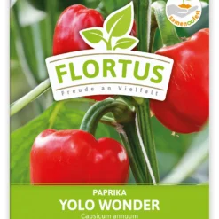 Paprika Yolo Wonder (100 Stück) | Paprikasamen Von FLORTUS 5 Paprika Yolo Wonder (100 Stück) | Paprikasamen Von FLORTUS -Angebote Pflanzen Glanz Store 549869 Paprika Yolo Wonder 100 Stueck 2000 0486 100x 1