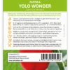Paprika Yolo Wonder (100 Stück) | Paprikasamen Von FLORTUS