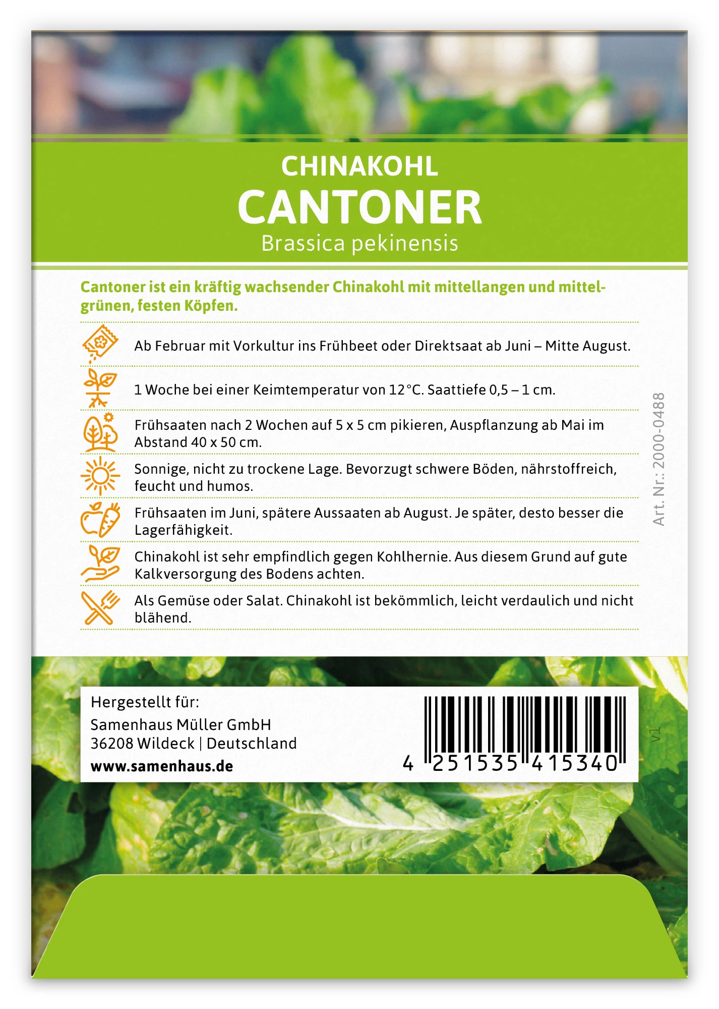 Chinakohl Cantoner (100 Stück) | Chinakohlsamen Von FLORTUS 1 Chinakohl Cantoner (100 Stück) | Chinakohlsamen Von FLORTUS