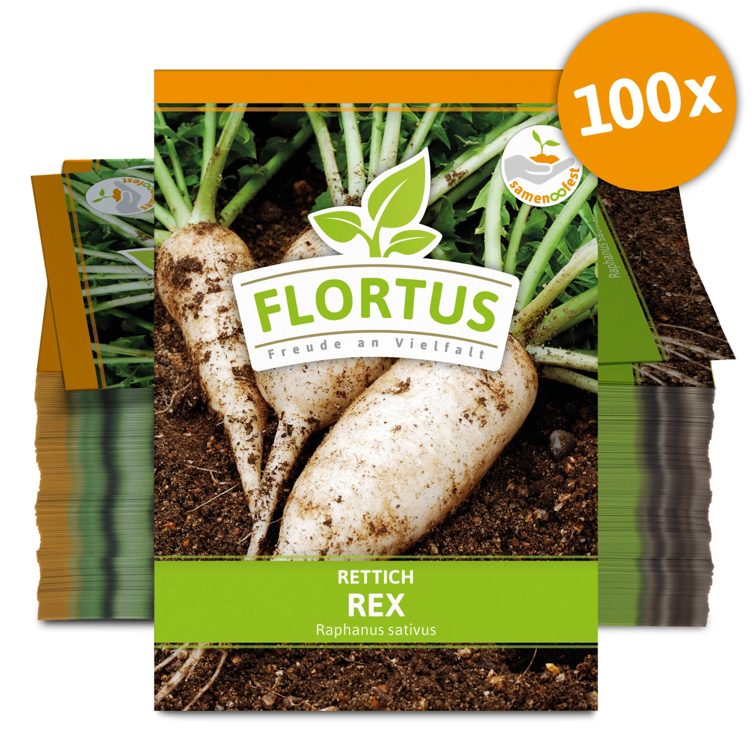 Rettich Rex (100 Stück) | Rettichsamen Von FLORTUS 3 Rettich Rex (100 Stück) | Rettichsamen Von FLORTUS – Bild 3