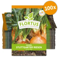 Zwiebel Stuttgarter Riesen (100 Stück) | Zwiebelsamen Von FLORTUS 5 Zwiebel Stuttgarter Riesen (100 Stück) | Zwiebelsamen Von FLORTUS -Angebote Pflanzen Glanz Store 549873 Zwiebel Stuttgarter Riesen 100 Stueck 2000 0490 100x 0