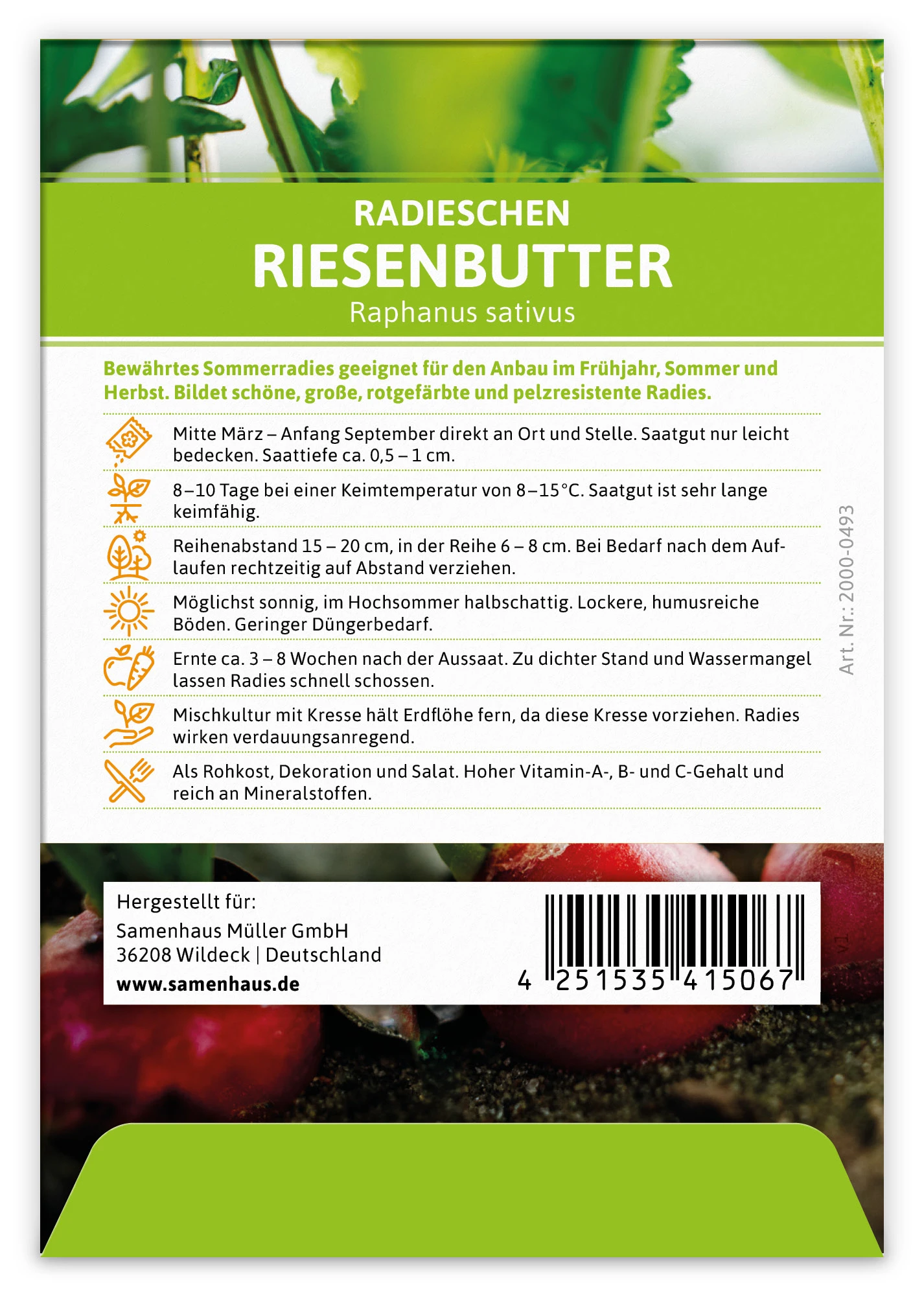 Radieschen Riesenbutter (100 Stück) | Radieschensamen Von FLORTUS 2 Radieschen Riesenbutter (100 Stück) | Radieschensamen Von FLORTUS – Bild 2