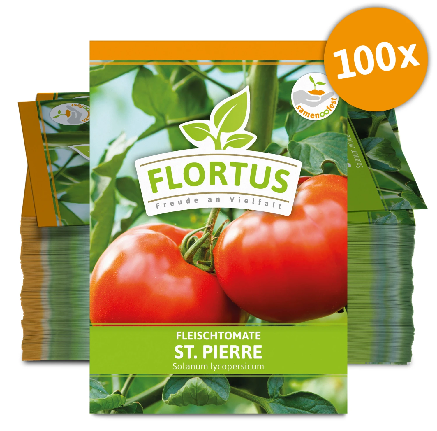 Fleischtomate St. Pierre (100 Stück) | Fleischtomatensamen Von FLORTUS 2 Fleischtomate St. Pierre (100 Stück) | Fleischtomatensamen Von FLORTUS – Bild 2