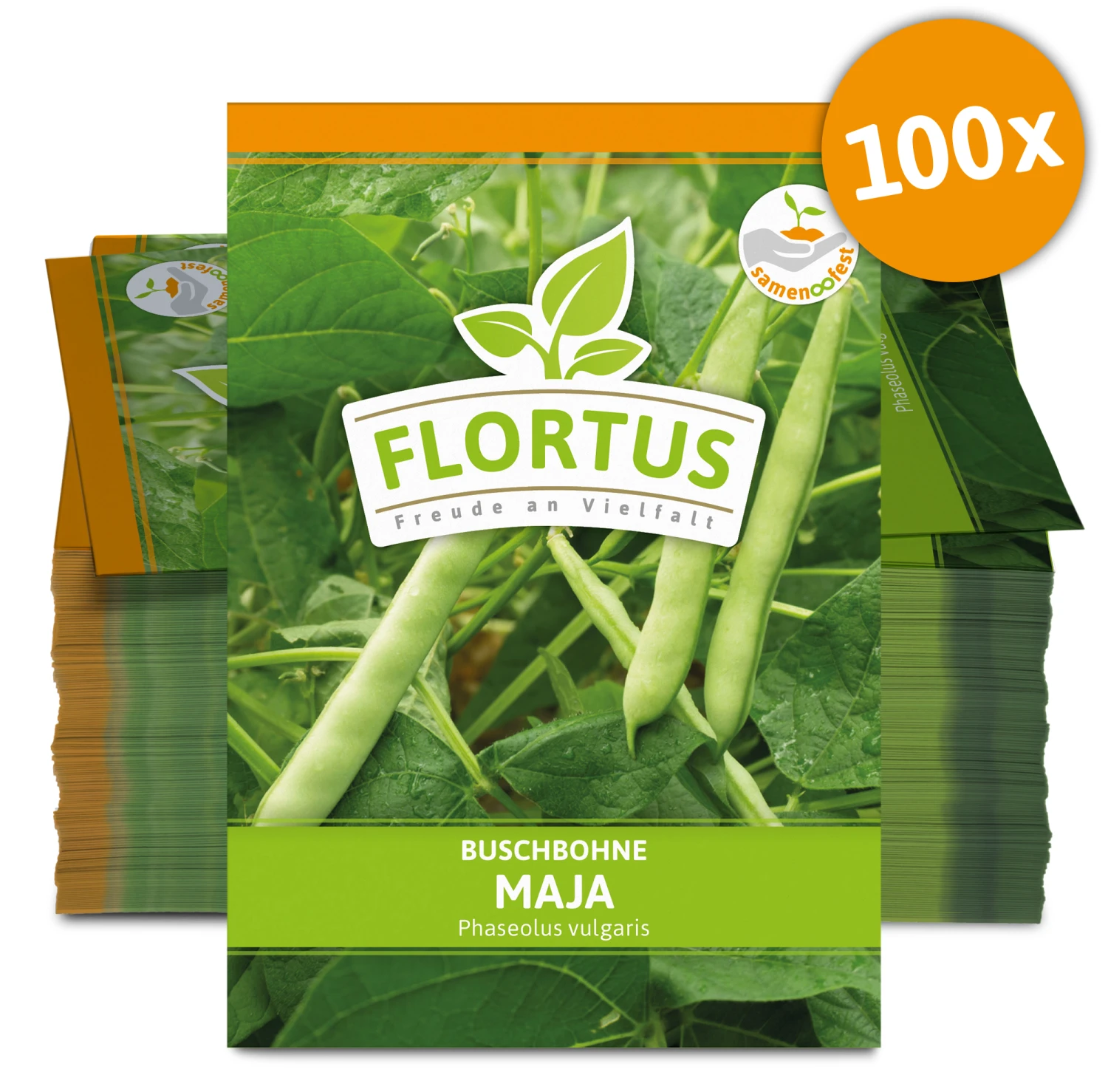 Buschbohne Maja (100 Stück) | Buschbohnensamen Von FLORTUS 3 Buschbohne Maja (100 Stück) | Buschbohnensamen Von FLORTUS – Bild 3