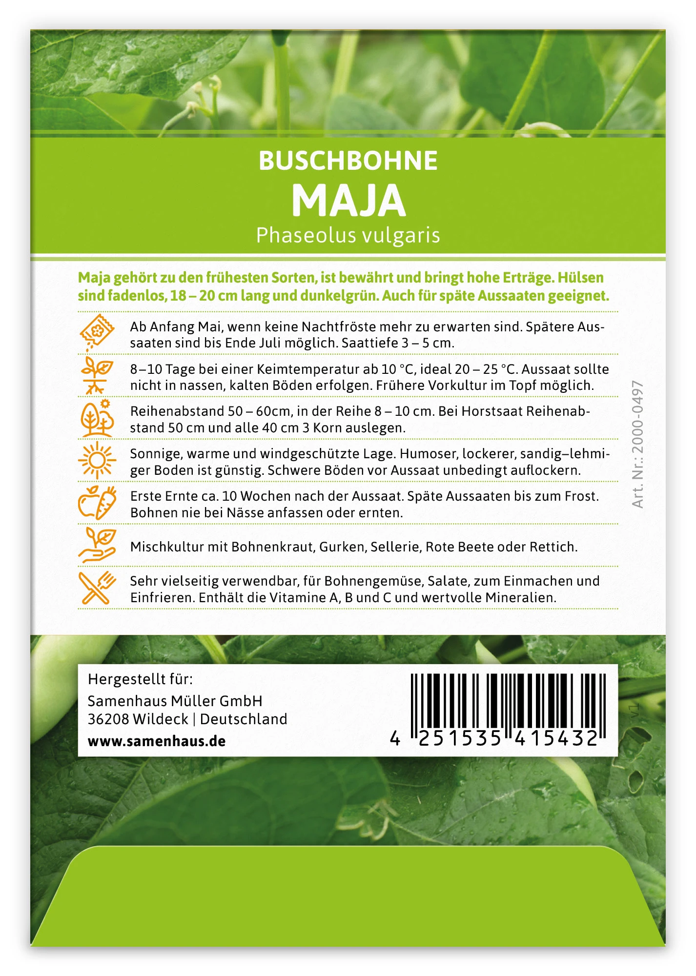Buschbohne Maja (100 Stück) | Buschbohnensamen Von FLORTUS 1 Buschbohne Maja (100 Stück) | Buschbohnensamen Von FLORTUS