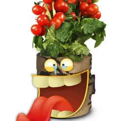 Greensquad Snack-Tomaten | Anzuchtsets Von Baza 8 Greensquad Snack-Tomaten | Anzuchtsets Von Baza -Angebote Pflanzen Glanz Store 550259 Greensquad Snack Tomaten 18027709 bz 2