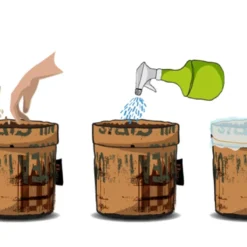 Greensquad Snack-Tomaten | Anzuchtsets Von Baza 7 Greensquad Snack-Tomaten | Anzuchtsets Von Baza -Angebote Pflanzen Glanz Store 550259 Greensquad Snack Tomaten 18027709 bz 3