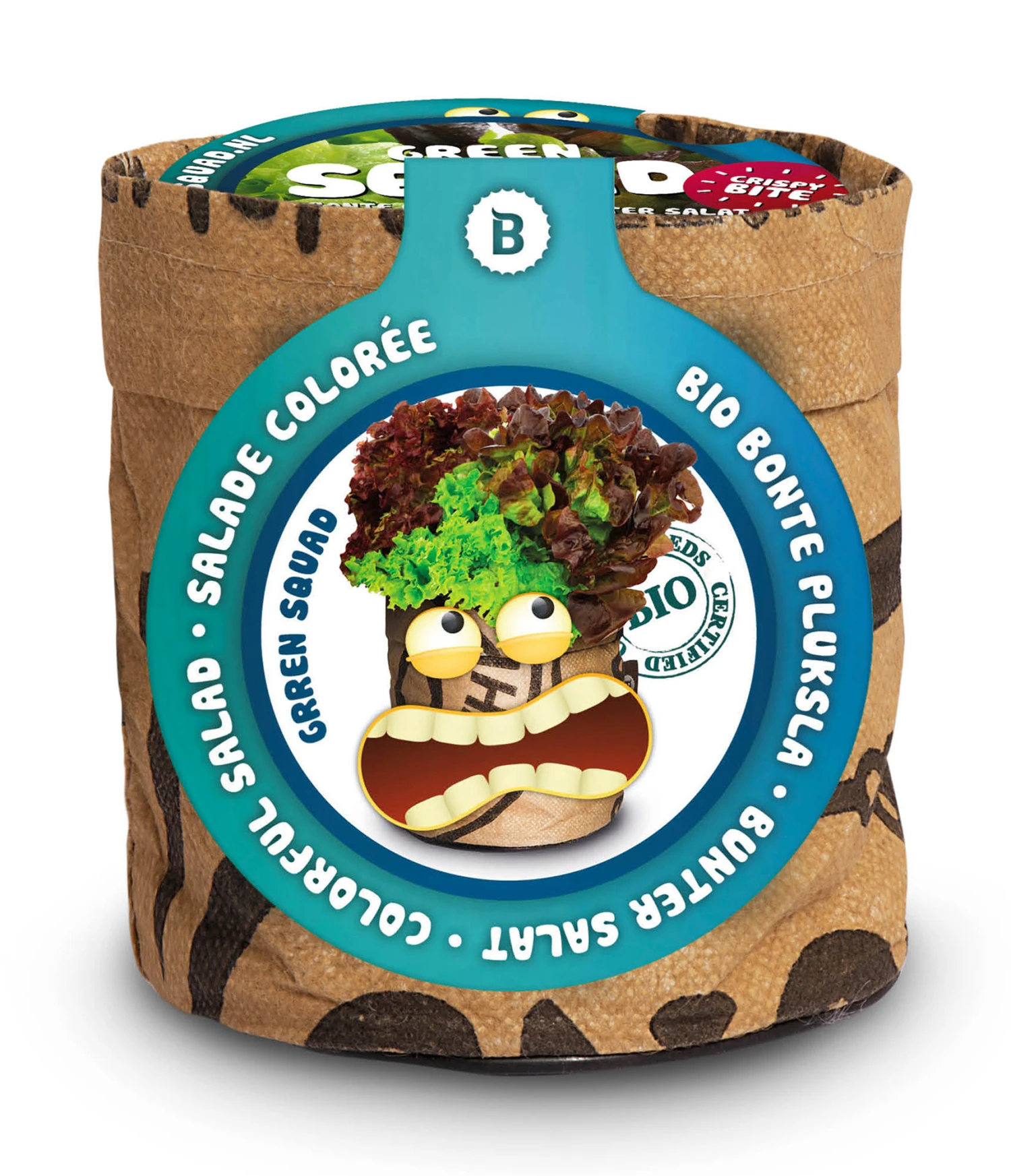 Greensquad Knackiger Salat | Anzuchtsets Von Baza 3 Greensquad Knackiger Salat | Anzuchtsets Von Baza – Bild 3