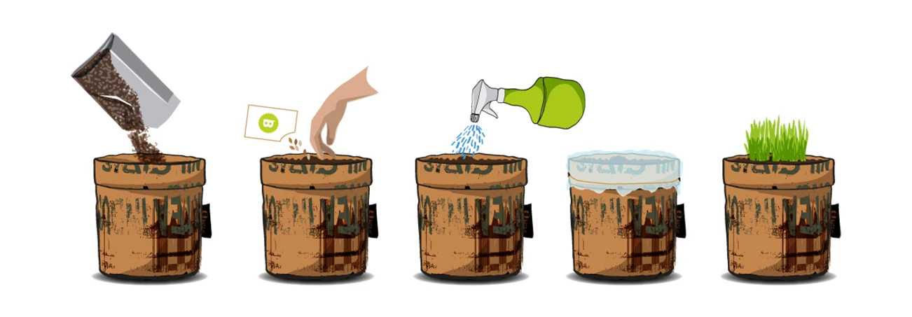 Greensquad Knackiger Salat | Anzuchtsets Von Baza 2 Greensquad Knackiger Salat | Anzuchtsets Von Baza – Bild 2