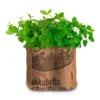 Duo-Garten Mojito | Anzuchtsets Von Baza