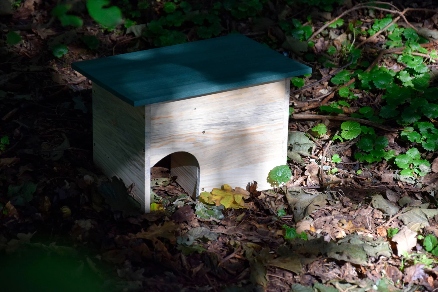 Igelhaus Mit Grünem Dach (Bausatz) | Nisthilfen Von Dobar 4 Igelhaus Mit Grünem Dach (Bausatz) | Nisthilfen Von Dobar – Bild 4