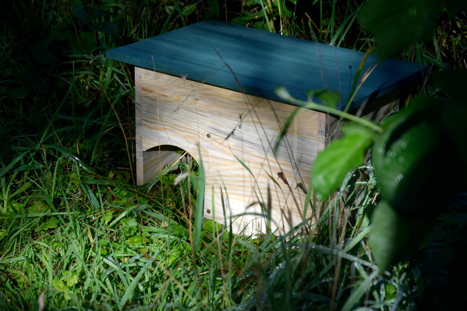 Igelhaus Mit Grünem Dach (Bausatz) | Nisthilfen Von Dobar 2 Igelhaus Mit Grünem Dach (Bausatz) | Nisthilfen Von Dobar – Bild 2