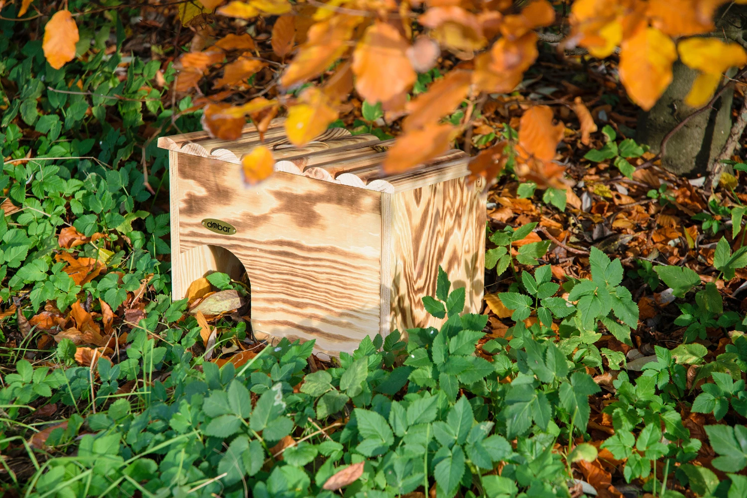 Igelhaus Geflammt (Bausatz) | Nisthilfen Von Dobar 1 Igelhaus Geflammt (Bausatz) | Nisthilfen Von Dobar