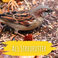 Wildvogel Futter (2 Kg) | BIO Vogelfutter Von Biobalu -Angebote Pflanzen Glanz Store 550628 BIO Wildvogel Futter 2 kg BB1019 6