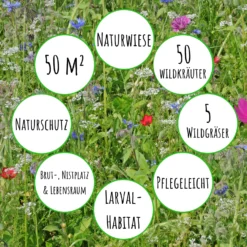 Bienenweide Mit Wildgräsern (Naturwiese) | Bienenwiese Von Biobalu -Angebote Pflanzen Glanz Store 550629 Bienenweide mit Wildgraesern Naturwiese BB1016 3