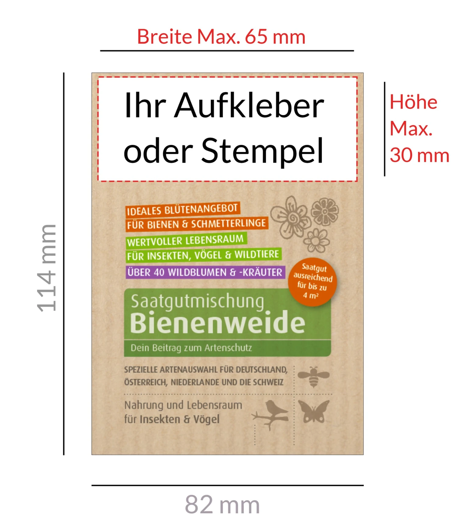 Bienenweide (10 Stück) | Bienenwiese Von Biobalu 1 Bienenweide (10 Stück) | Bienenwiese Von Biobalu