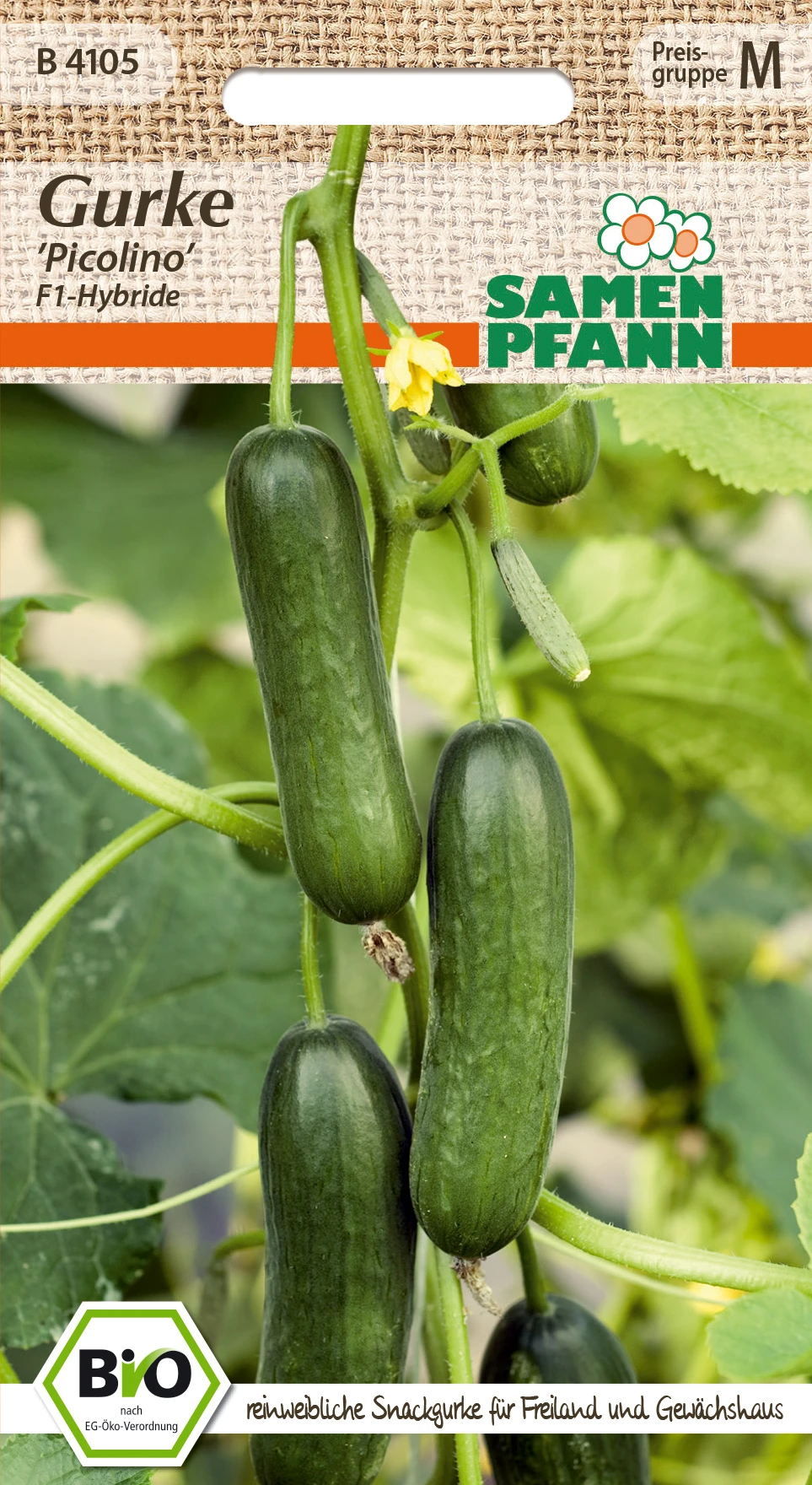 Gurke Picolino F1 | BIO Minigurkensamen Von Samen Pfann 2 Gurke Picolino F1 | BIO Minigurkensamen Von Samen Pfann – Bild 2