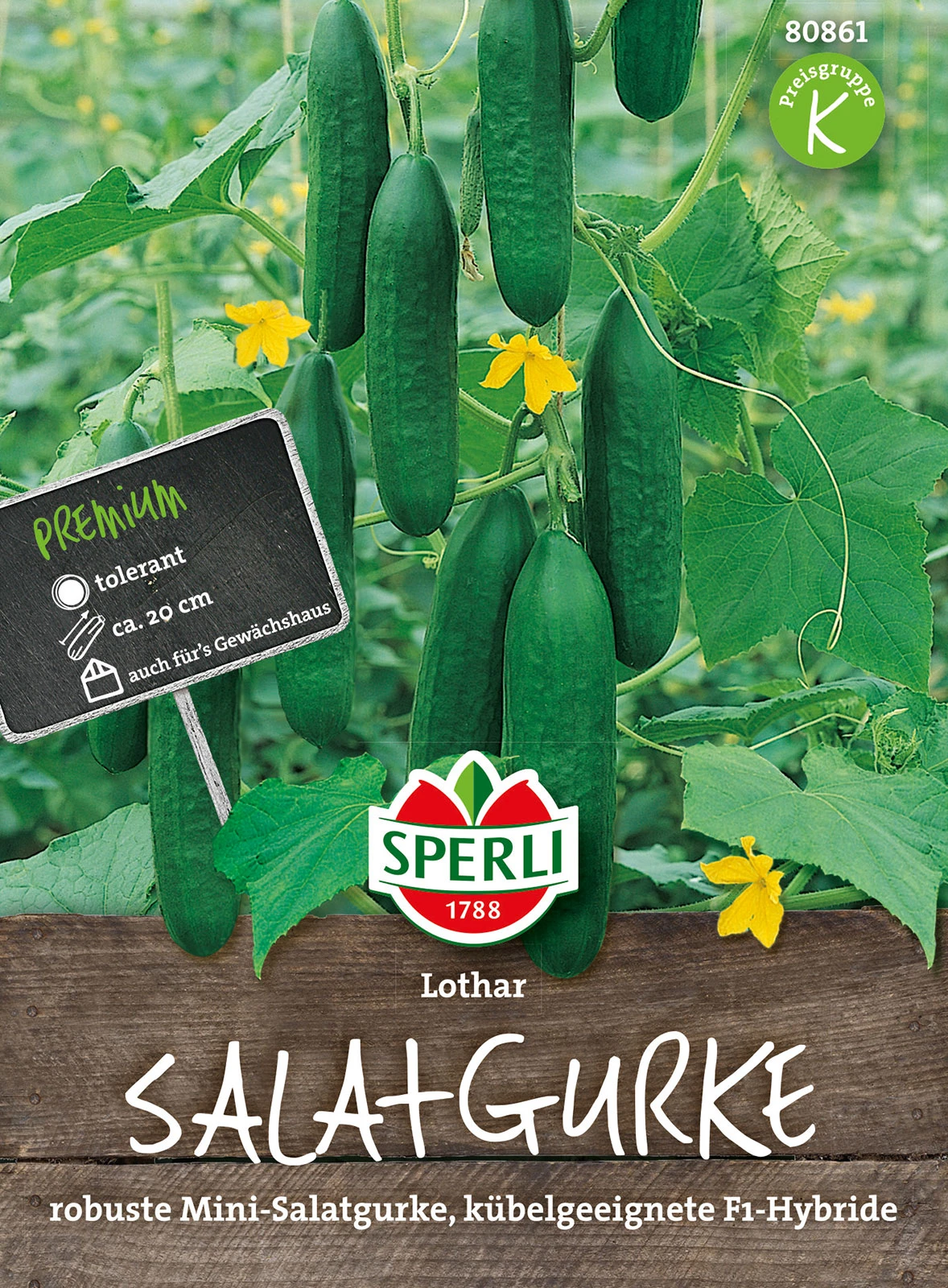 Gurke Lothar F1-Hybride | Gurkensamen Von Sperli 2 Gurke Lothar F1-Hybride | Gurkensamen Von Sperli – Bild 2