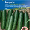 Salatgurke Tristan F1 | Salatgurkensamen Von Kiepenkerl