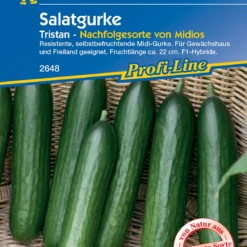 Salatgurke Tristan F1 | Salatgurkensamen Von Kiepenkerl