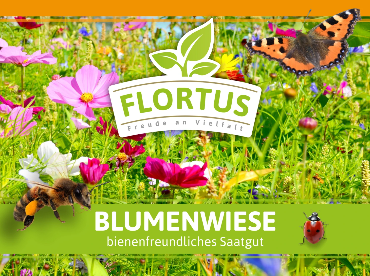 Blumenwiese (1/2 L Doypack) | Blumenwiese Von FLORTUS 4 Blumenwiese (1/2 L Doypack) | Blumenwiese Von FLORTUS – Bild 4