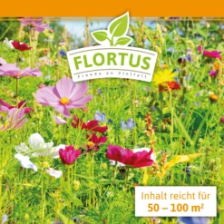 Blumenwiese (1/2 L Doypack) | Blumenwiese Von FLORTUS 11 Blumenwiese (1/2 L Doypack) | Blumenwiese Von FLORTUS -Angebote Pflanzen Glanz Store 551641 Blumenwiese 1 2 Liter Doypack 2000 0186 3