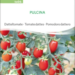 Datteltomate Pulcina | BIO Stabtomatensamen Von Sativa Rheinau