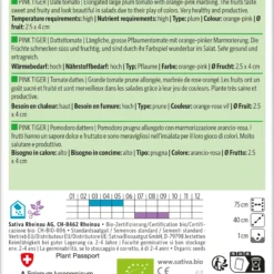 Angebote Pflanzen Glanz Store -Angebote Pflanzen Glanz Store 551674 BIO Datteltomate Pink Tiger to94 sr 1