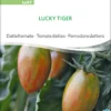 Datteltomate Lucky Tiger | BIO Stabtomatensamen Von Sativa Rheinau