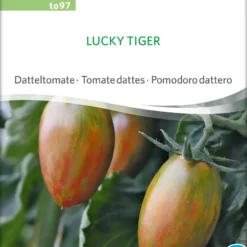 Datteltomate Lucky Tiger | BIO Stabtomatensamen Von Sativa Rheinau