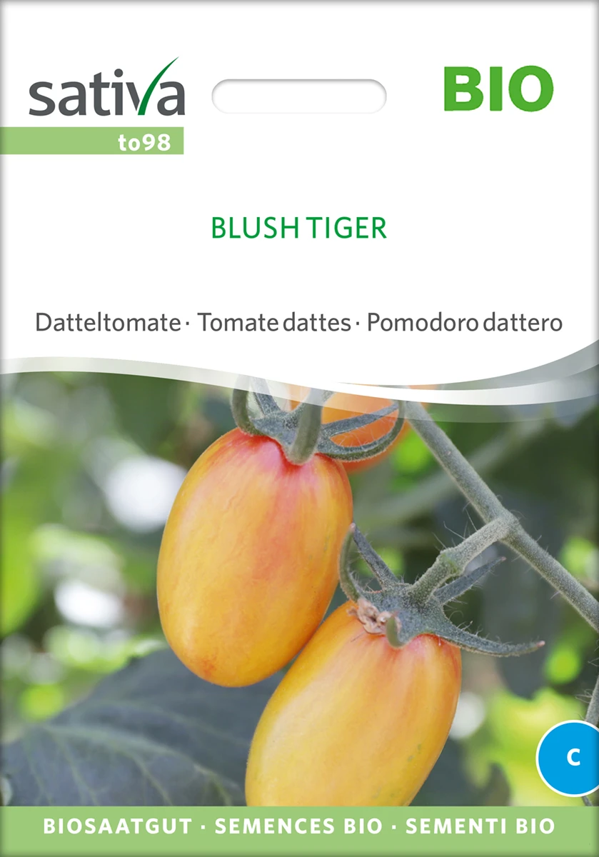 Datteltomate Blush Tiger | BIO Stabtomatensamen Von Sativa Rheinau 2 Datteltomate Blush Tiger | BIO Stabtomatensamen Von Sativa Rheinau – Bild 2
