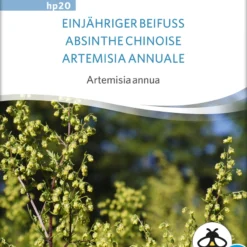 Einjähriger Beifuss | BIO Heilpflanzensamen Von Sativa Rheinau