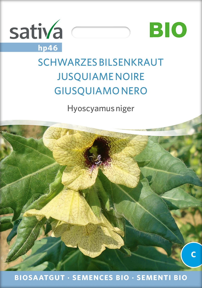 Schwarzes Bilsenkraut | BIO Heilpflanzensamen Von Sativa Rheinau 2 Schwarzes Bilsenkraut | BIO Heilpflanzensamen Von Sativa Rheinau – Bild 2