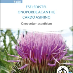 Angebote Pflanzen Glanz Store -Angebote Pflanzen Glanz Store 551686 BIO Eselsdistel hp58 sr 0