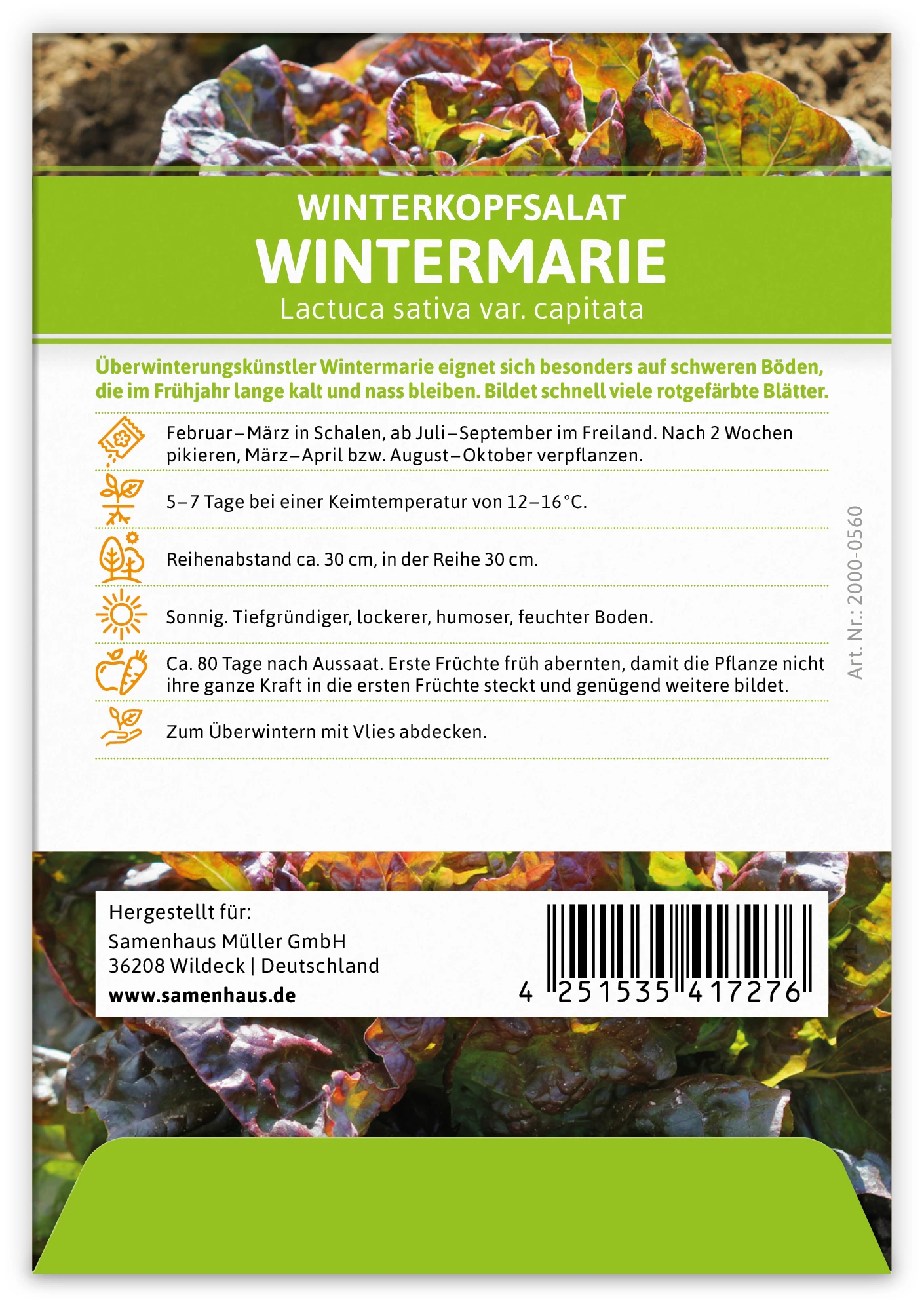 Winterkopfsalat Wintermarie (100 Tütchen) | Kopfsalatsamen Von FLORTUS 1 Winterkopfsalat Wintermarie (100 Tütchen) | Kopfsalatsamen Von FLORTUS