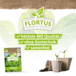 Winterportulak Postelein (100 Tütchen) | BIO Portulaksamen Von FLORTUS 11 Winterportulak Postelein (100 Tütchen) | BIO Portulaksamen Von FLORTUS -Angebote Pflanzen Glanz Store 551882 BIO Winterportulak Postelein 100 Tuetchen 2000 0563 2
