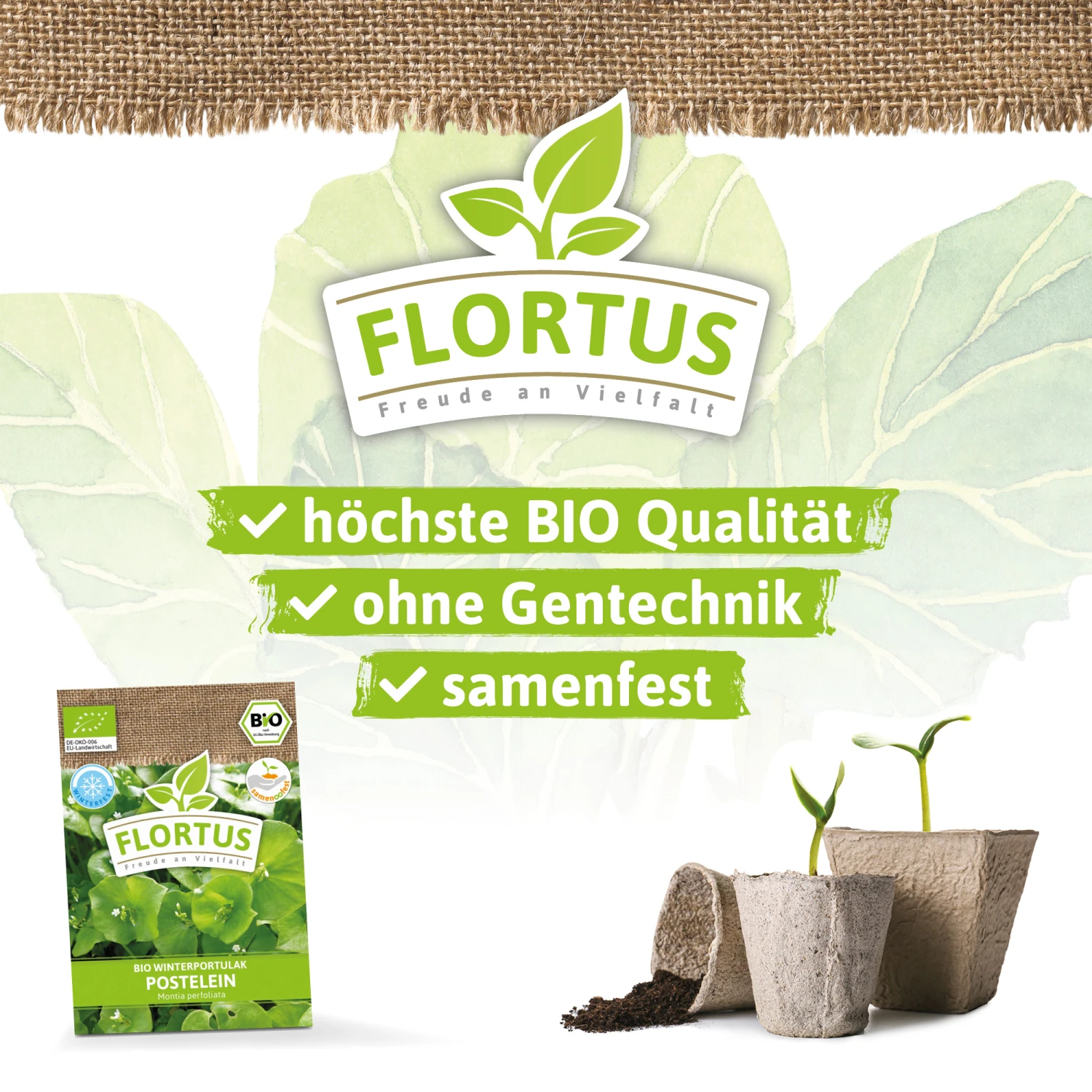 Winterportulak Postelein (100 Tütchen) | BIO Portulaksamen Von FLORTUS 6 Winterportulak Postelein (100 Tütchen) | BIO Portulaksamen Von FLORTUS – Bild 6