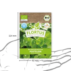 Winterportulak Postelein (100 Tütchen) | BIO Portulaksamen Von FLORTUS 10 Winterportulak Postelein (100 Tütchen) | BIO Portulaksamen Von FLORTUS -Angebote Pflanzen Glanz Store 551882 BIO Winterportulak Postelein 100 Tuetchen 2000 0563 3