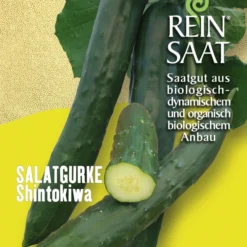 Freilandgurke Shintokiwa | BIO Freilandgurkensamen Von Reinsaat