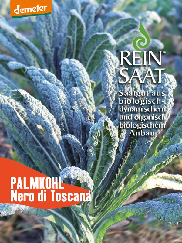 Grünkohl Nero Di Toscana | BIO Grünkohlsamen Von Reinsaat 1 Grünkohl Nero Di Toscana | BIO Grünkohlsamen Von Reinsaat