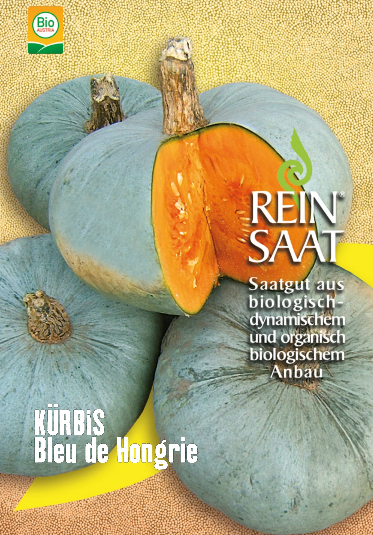 Kürbis Bleu De Hongrie | BIO Kürbissamen Von Reinsaat 1 Kürbis Bleu De Hongrie | BIO Kürbissamen Von Reinsaat