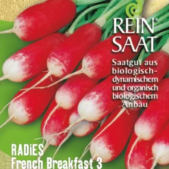 Radies French Breakfast 3 | BIO Radieschensamen Von Reinsaat