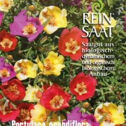 Portulakröschen | BIO Portulaksamen Von Reinsaat
