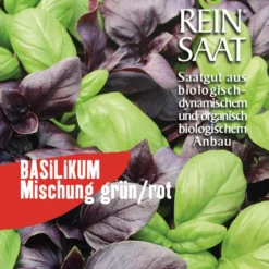 Basilikum-Mischung (Saatscheibe) | BIO Basilikumsamen Von Reinsaat