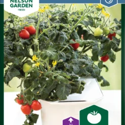 Cocktailtomaten Twiggy Red F1 | Cocktailsamen Von Nelson Garden