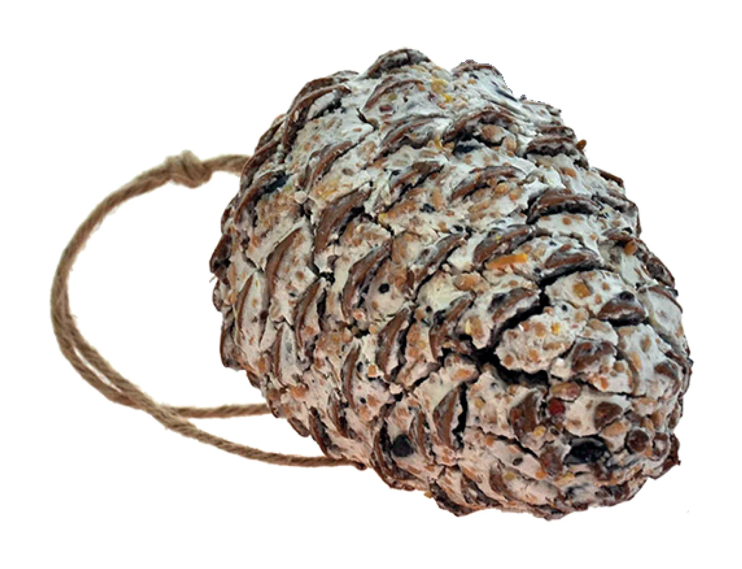 Kegel Mit Talg Und Samen | Vogelfutter Von Nelson Garden 1 Kegel Mit Talg Und Samen | Vogelfutter Von Nelson Garden