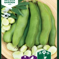 Bohne Threefold White | Bohnensamen Von Nelson Garden